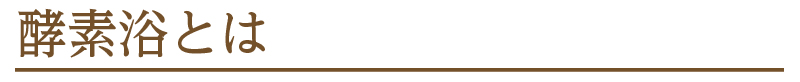 酵素浴とは